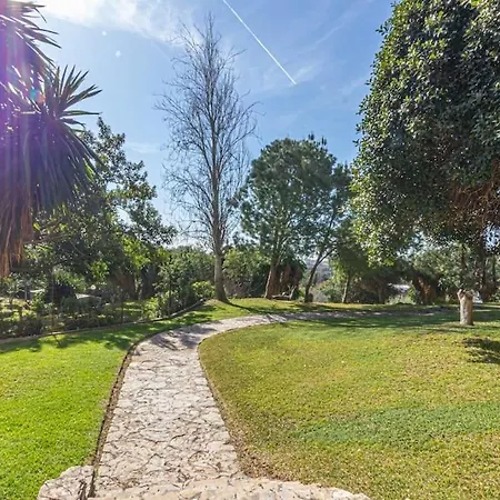 Apartamento Coqueto Y Comodo Estudio En Arroyo De La Miel